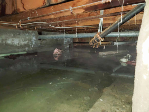 Best Sewage cleanup and water damage restoration  in Lake Holiday, VA