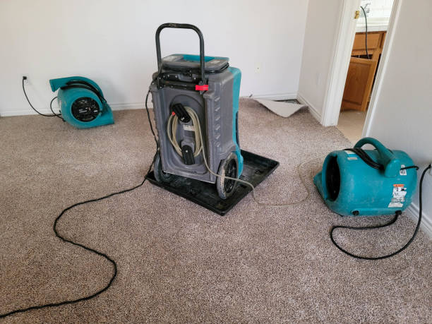Best Basement water damage restoration  in Lake Holiday, VA