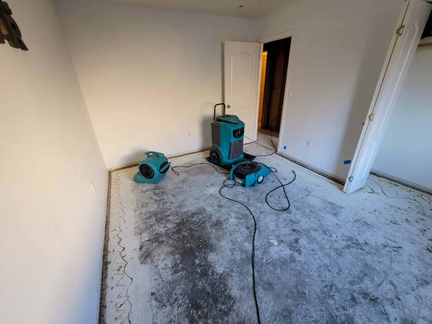 Best Professional water damage repair  in Lake Holiday, VA