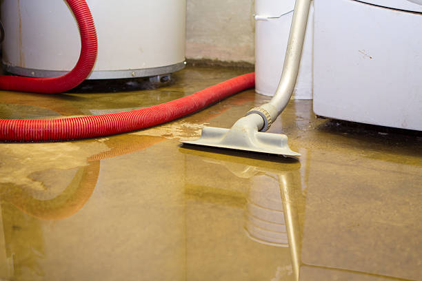 Best Local water damage restoration  in Lake Holiday, VA