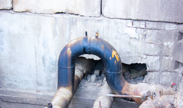 Best Water damage cleanup near me  in Lake Holiday, VA